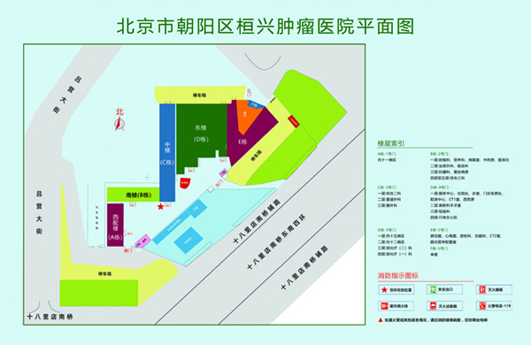 男女插进比里视频北京市朝阳区桓兴肿瘤医院平面图